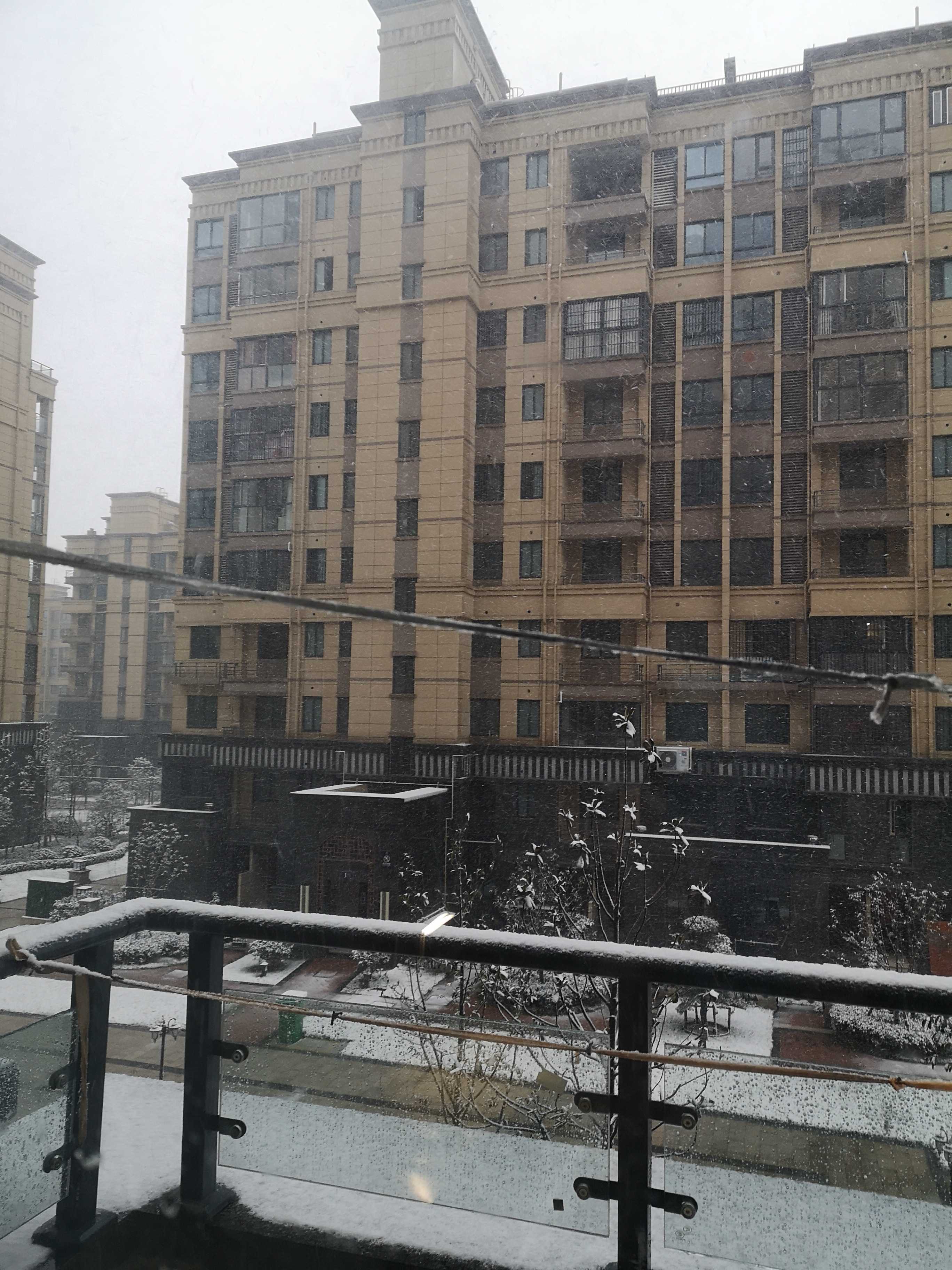 2020年2月15日，摄于家中